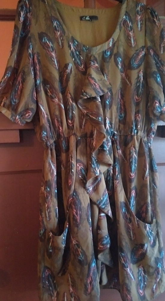 Nordstrom C.Luce feather dress